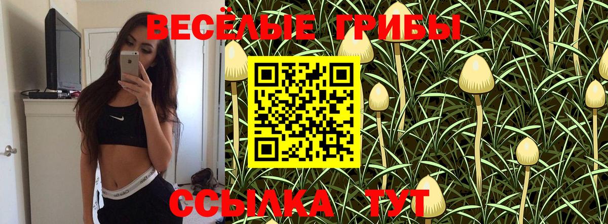 Псилоцибиновые грибы Cubensis Кирово-Чепецк